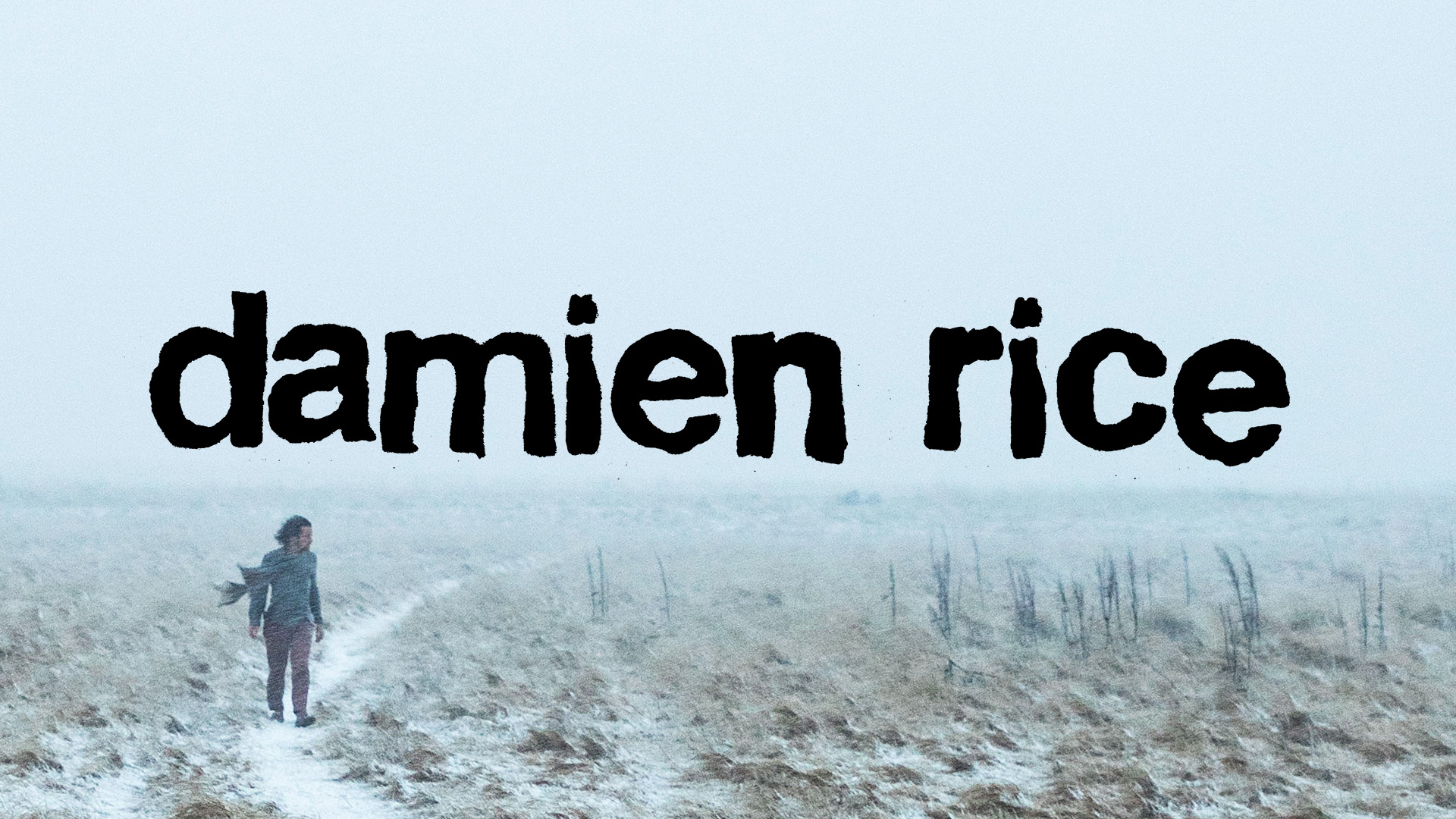 Damien Rice Concert Dates & Tickets Frontier Touring